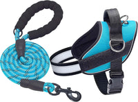 Haapaw Essential Dog Harness - XL / Blue