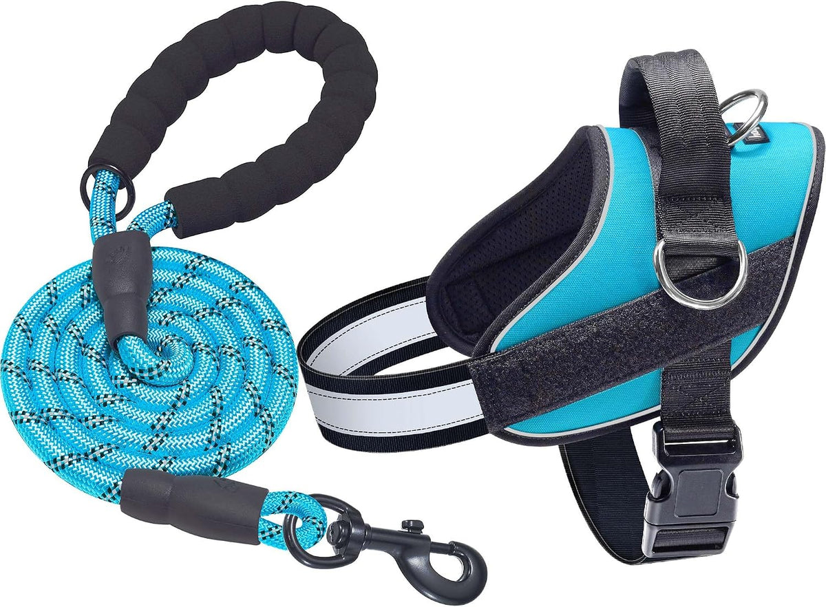 Haapaw Essential Dog Harness - XL / Blue