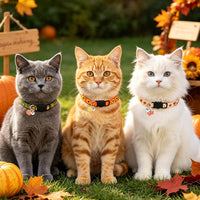 PUPTECK Halloween Cat Collar Breakaway with Bells, Kitten Outfit – Essentials for Cats - Orange / NECK (7.87"-11.8") - image 3