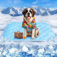 Dog Cooling Mat for Large Dogs - Ice Blue Wave Stitching / X-Large