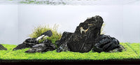 LANDEN Dark SEIRYU Stones Natural Rocks(17lbs, 3~11 inches,7-8pcs) for Aquarium, Paludarium, Terrariums, Landscaping Rocks, Decorative Aquarium Rocks
