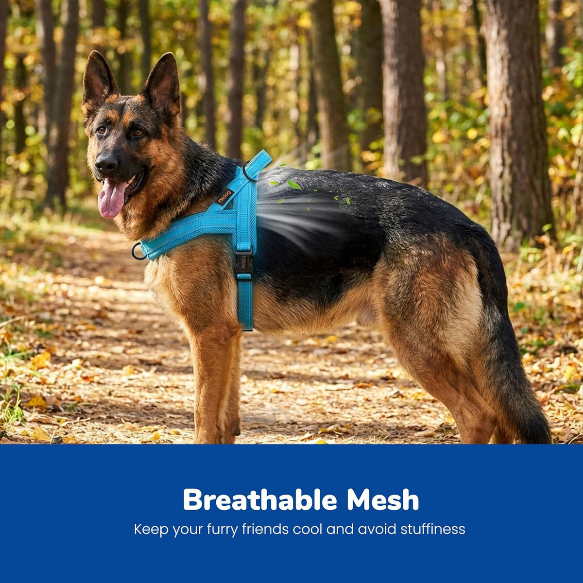 Didog No Pull Dog Harness for Large Dogs, Breathable Mesh Padded - Blue / L: Chest 27-33", Fit 50-80 lbs - image 2