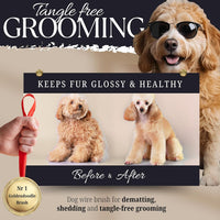 Poodle Comb with Rotating Teeth - 8 Inch x 4.8 - image 2