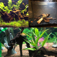 Tfwadmx Natural Driftwood for Aquarium Decor 5-8" Fish Reptile Tank - M: 3 Pack(7 - 9.5 inches) - image 3
