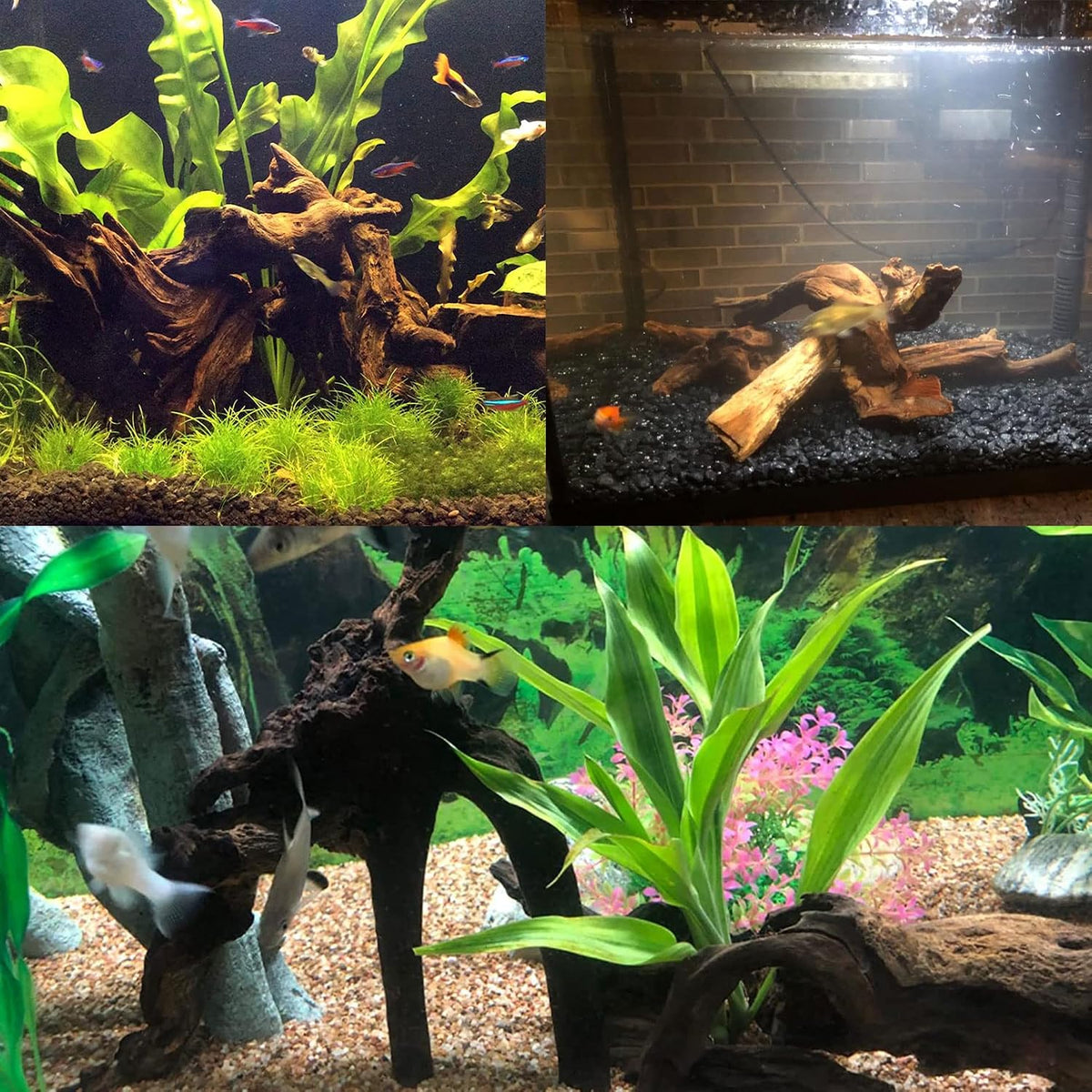 Tfwadmx Natural Driftwood for Aquarium Decor 5-8" Fish Reptile Tank - M: 3 Pack(7 - 9.5 inches) - image 3