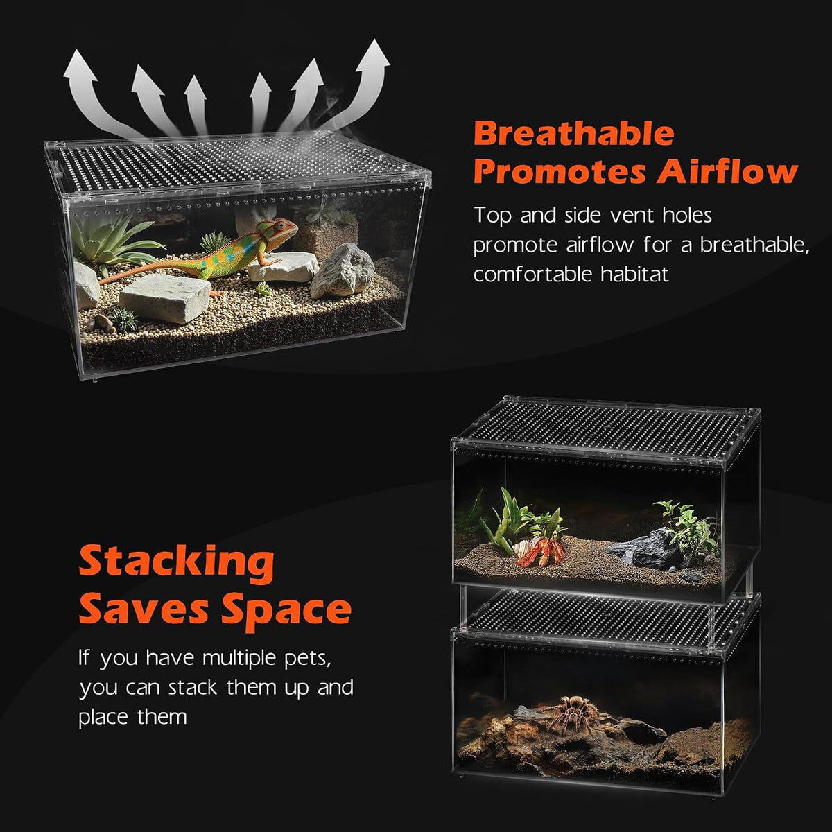 AZV Escape-Proof Tarantula Enclosure - XLarge(15.74*9.84*7.87inch) - image 2
