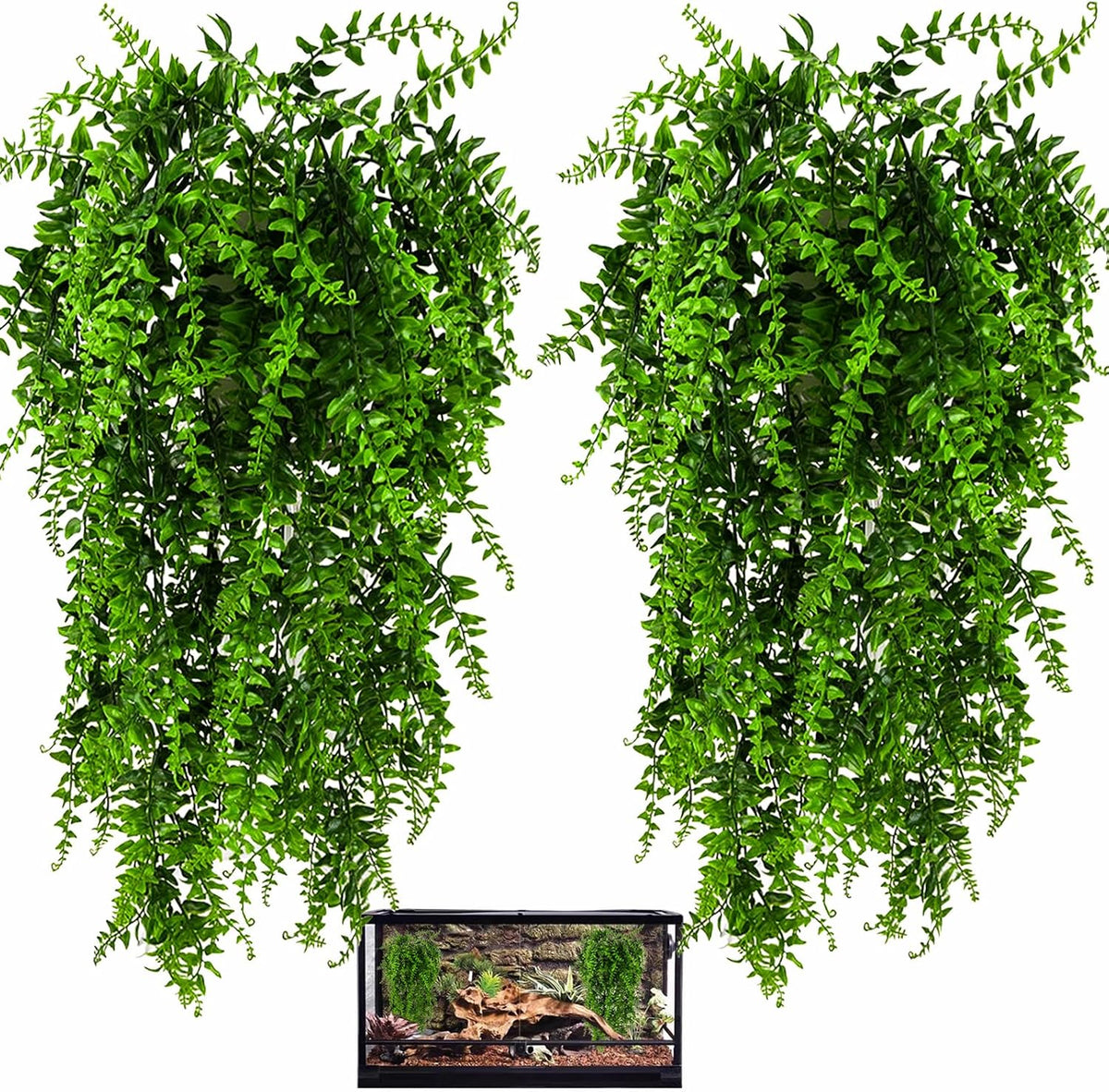 HERCOCCI 2 Pack Reptile Plants - 2 Pack