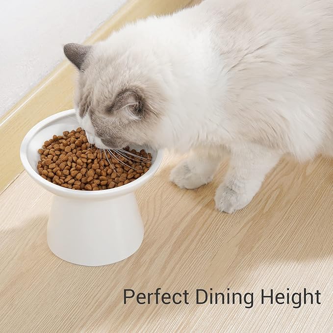 Extra Wide Elevated Ceramic Cat Bowl, 6.2" Shallow Dish for Whisker Fatigue Relief, 5" Height for Easy Feeding, Durable Raised Cat Food Bowls, Pack of 2, White
