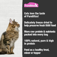 PureBites Salmon Freeze Dried Cat Treats, 0.92Oz | 26G - Value Size