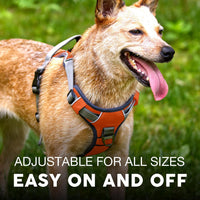 Embark No Pull Dog Harness, Reflective Adjustable Training Vest - XS / Orange - image 4