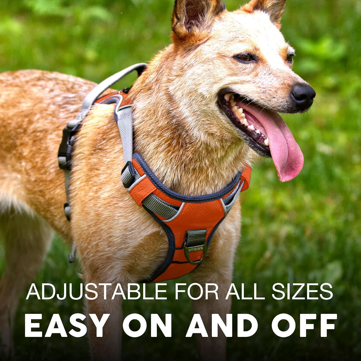 Embark No Pull Dog Harness, Reflective Adjustable Training Vest - XS / Orange - image 4