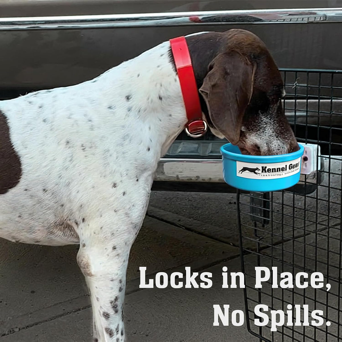Dog Crate Water Bowl No Spill - Light Blue - image 2