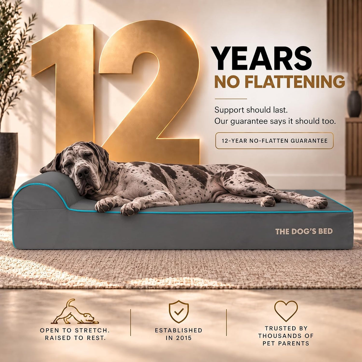 The Dog’s Bed Orthopedic Memory Foam Dog Bed with Headrest XL 6-Inch – Essentials for Dogs - Grey with Blue Trim / XXL (54"L x 36"W x 6"Th) - image 3