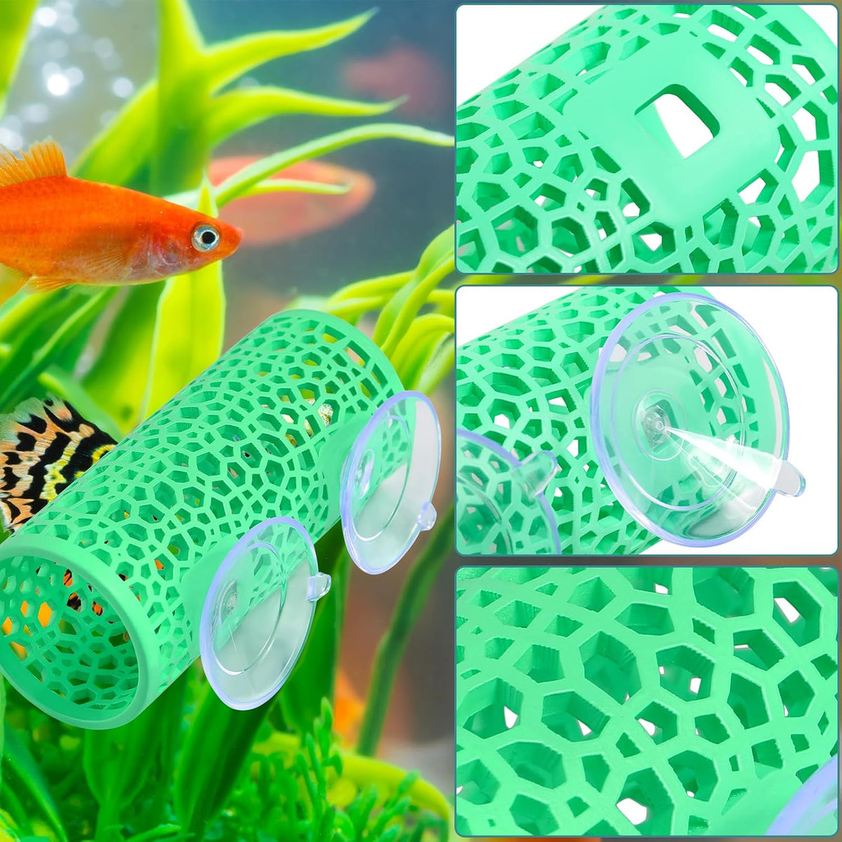 Abizoo Betta Fish Tunnel & Reptile Hide - Mint Green - image 4