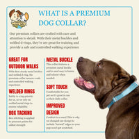Country Brook Petz - Premium Nylon Dog Collar with Metal Buckle for Small Medium Large Breeds - 30+ - Extra Large (Pack of 1) / Ocean Blue - image 4