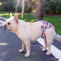 CuteBone Washable Dog Diapers Female No Tail Hole 3 Pack Reusable - For docked-tail, hearts / M - image 2