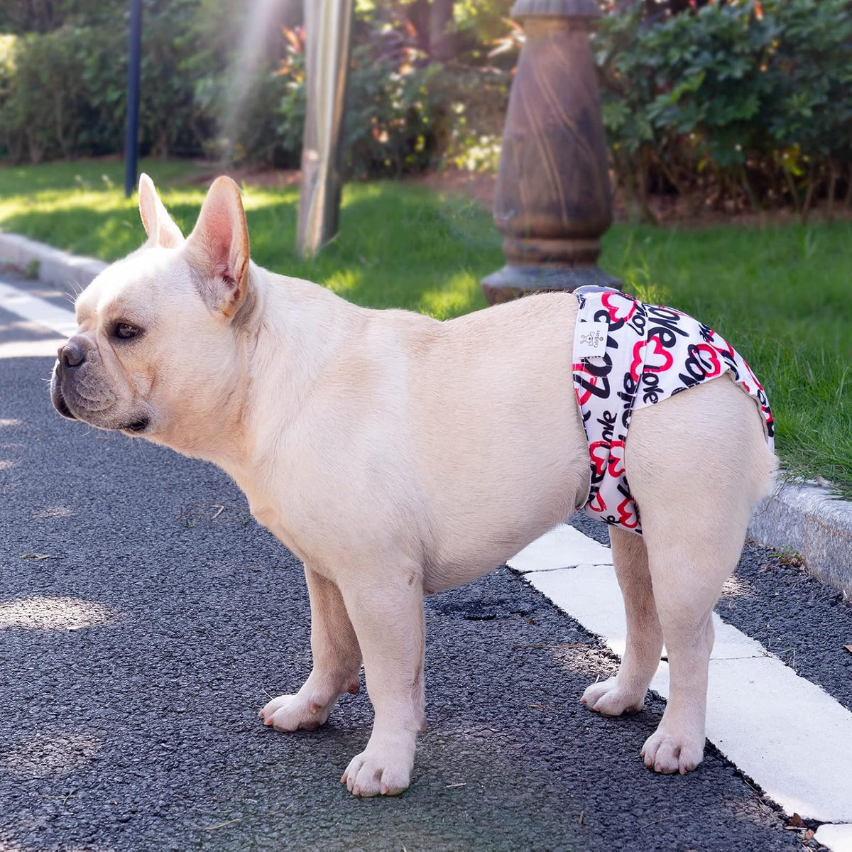 CuteBone Washable Dog Diapers Female No Tail Hole 3 Pack Reusable - For docked-tail, hearts / M - image 2