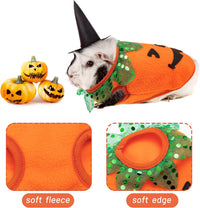 Halloween Guinea Pig Clothes - Orange and Black / XXXS - image 3