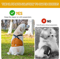 Avont 3 Pack Dog Diapers Male with Suspenders - Black/Grey/Brown / XL / 3 - image 2