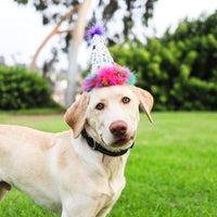 Huxley & Kent Party Crown Hat for Dogs & Cats - Small / Superstar - image 2