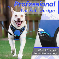 Eagloo Dog Harness for Large Dogs - Large / Blue - image 2