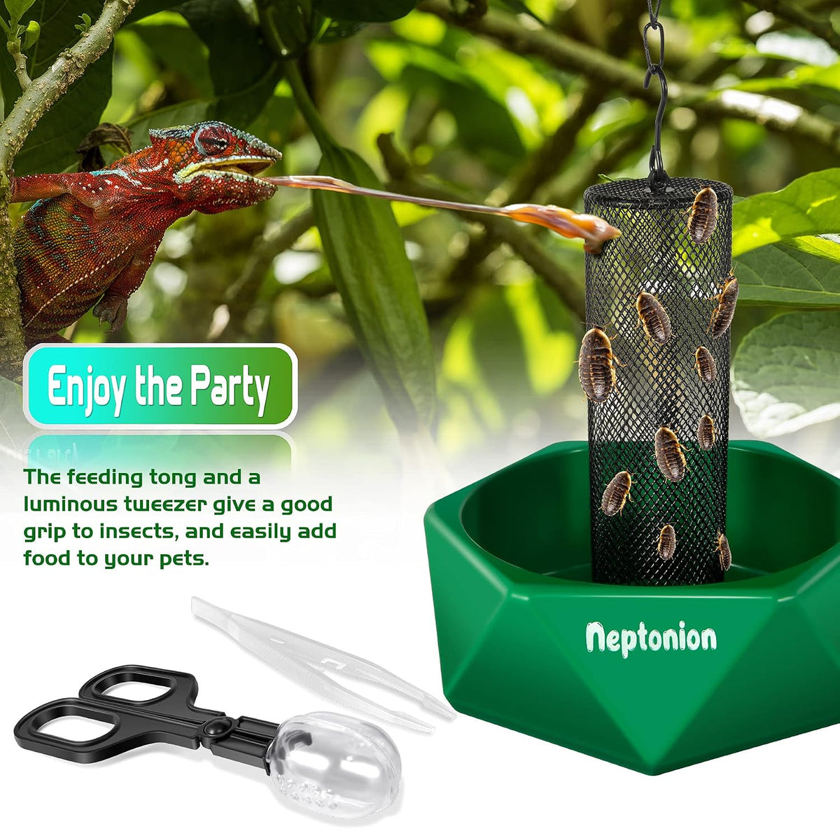 Hookable chameleon feeding bowl with mesh, hanging chain and tongs - view 4