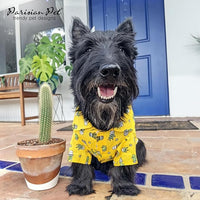 Parisian Pet Cactus Cap Dog Beach Outfit - 100% Cotton Summer Dog Clothes - Stylish Machine Washable Pet Shirts for Large Dogs
