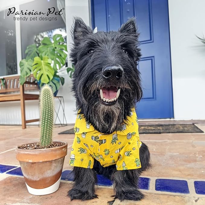 Parisian Pet Cactus Cap Dog Beach Outfit - 100% Cotton Summer Clothes - Stylish Dog Costume - Breathable, Cool & Machine Washable - XL