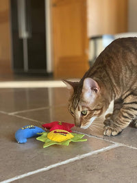 YEOWWW Catnip Cat Toy for Indoor and Outdoor Cats -Premium Quality Strong Catnip Toys for Cats (1x Crinkle Catnip Toy Sun 1 x Moon 1x Star)