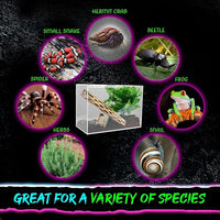 Tarantula Enclosure XL (10”x7”x14”) Reptile Terrarium w/Sliding Magnetic Door-Great Reptile Tank for Terrestrial or Arboreal Animals- Acrylic Terrarium for Juvenile or Adult Spiders- Hermit Crab Cage