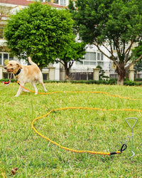 Joytale Long Dog Leash for Yard Tie Out & Recall Training - Orange / 65FT - image 2