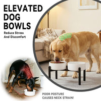Raised Ceramic Dog Bowl Set with Stand - White / 2 Bowls - 7.5 Cups Each - image 4