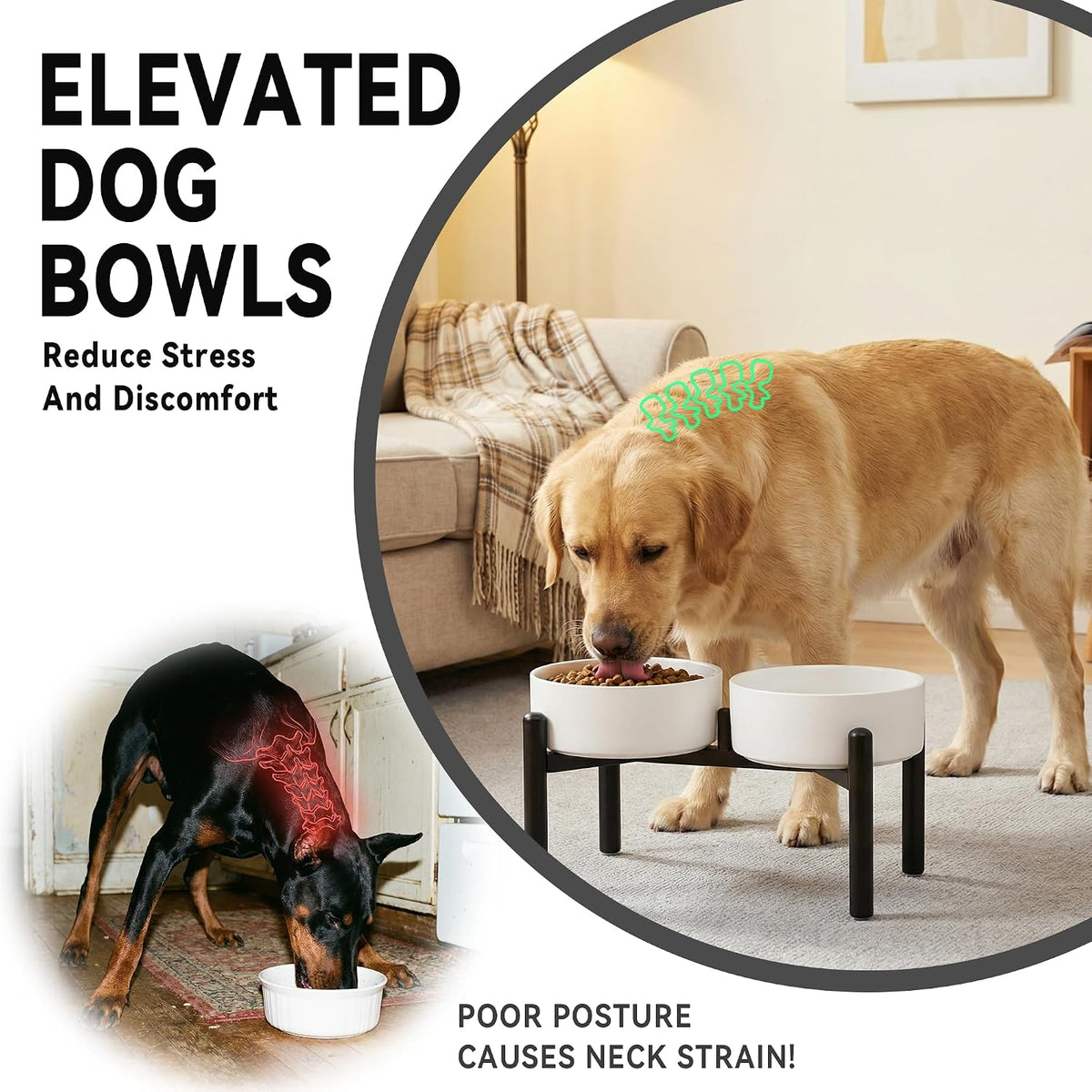 Raised Ceramic Dog Bowl Set with Stand - White / 2 Bowls - 7.5 Cups Each - image 4
