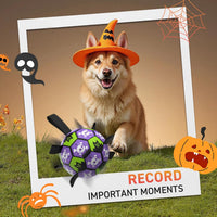 QDAN Dog Balls, Herding Balls for Dogs - Halloween / Large Size 3 (8 Inch) - image 3