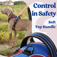 rabbitgoo Dog Harness for Large - Blue & Red / Small - image 4