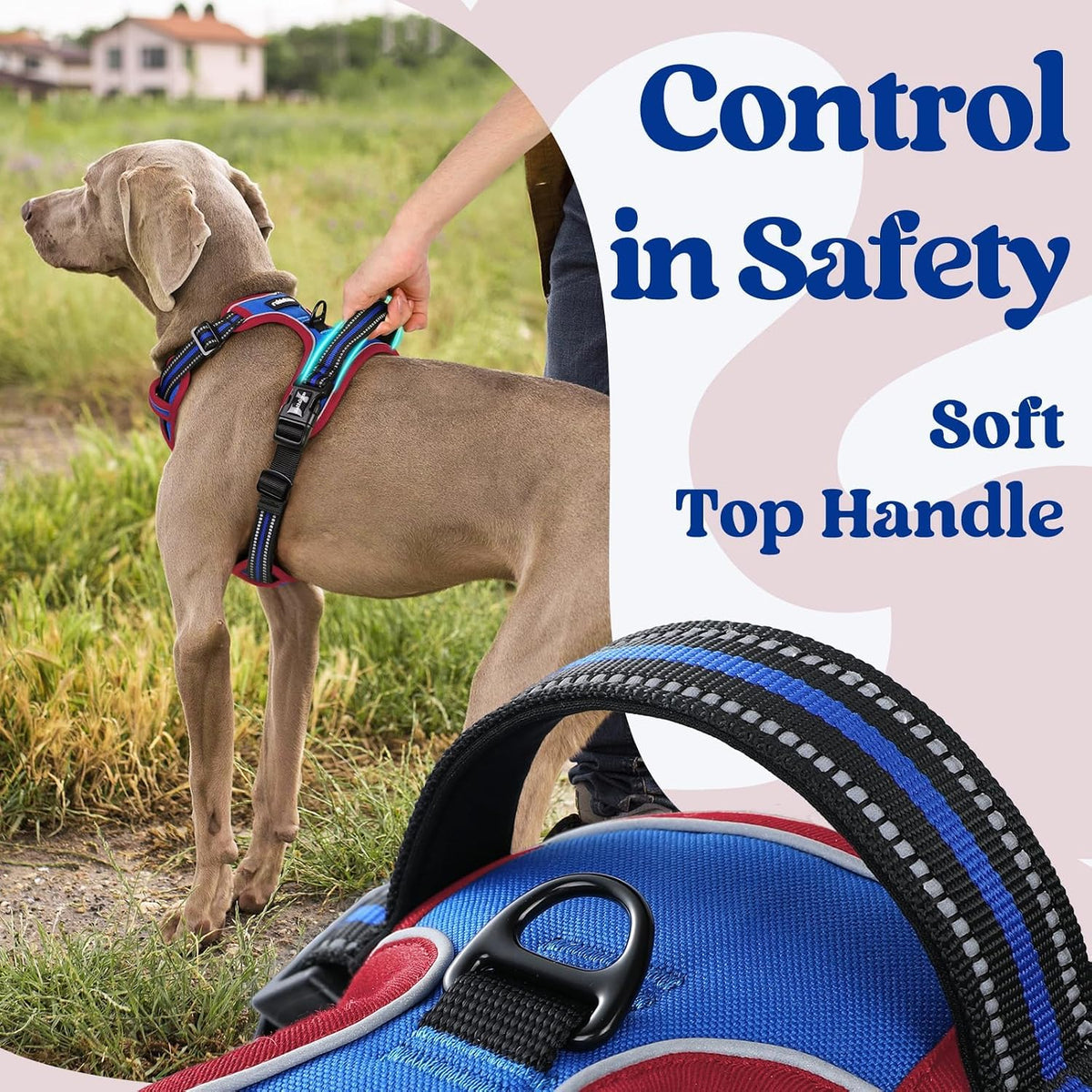 rabbitgoo Dog Harness for Large - Blue & Red / Small - image 4