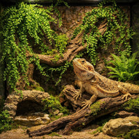 HERCOCCI 2 Pack Reptile Plants - 2 Pack - image 2