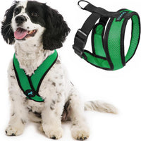 Gooby Comfort X Head-in Dog Harness, Choke-Free - X-Large Chest (20.5-28") / Hunter Green