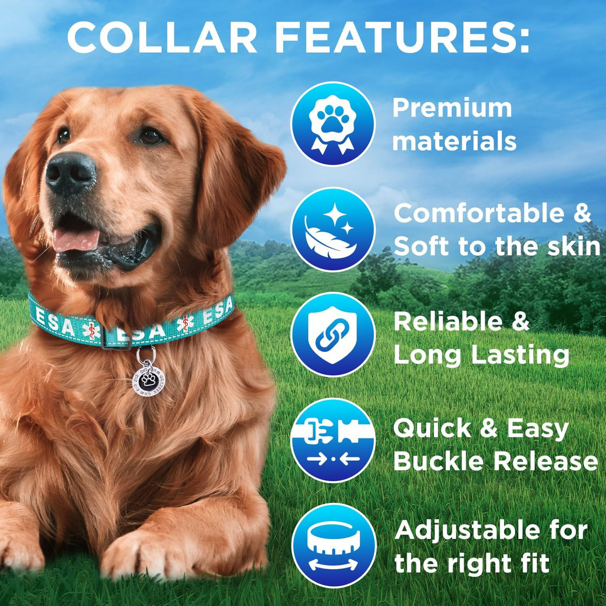 Reflective Neoprene Padded Dog Collar with Quick Release Buckle – Essentials for Dogs - Teal - ESA / X-Large - image 4
