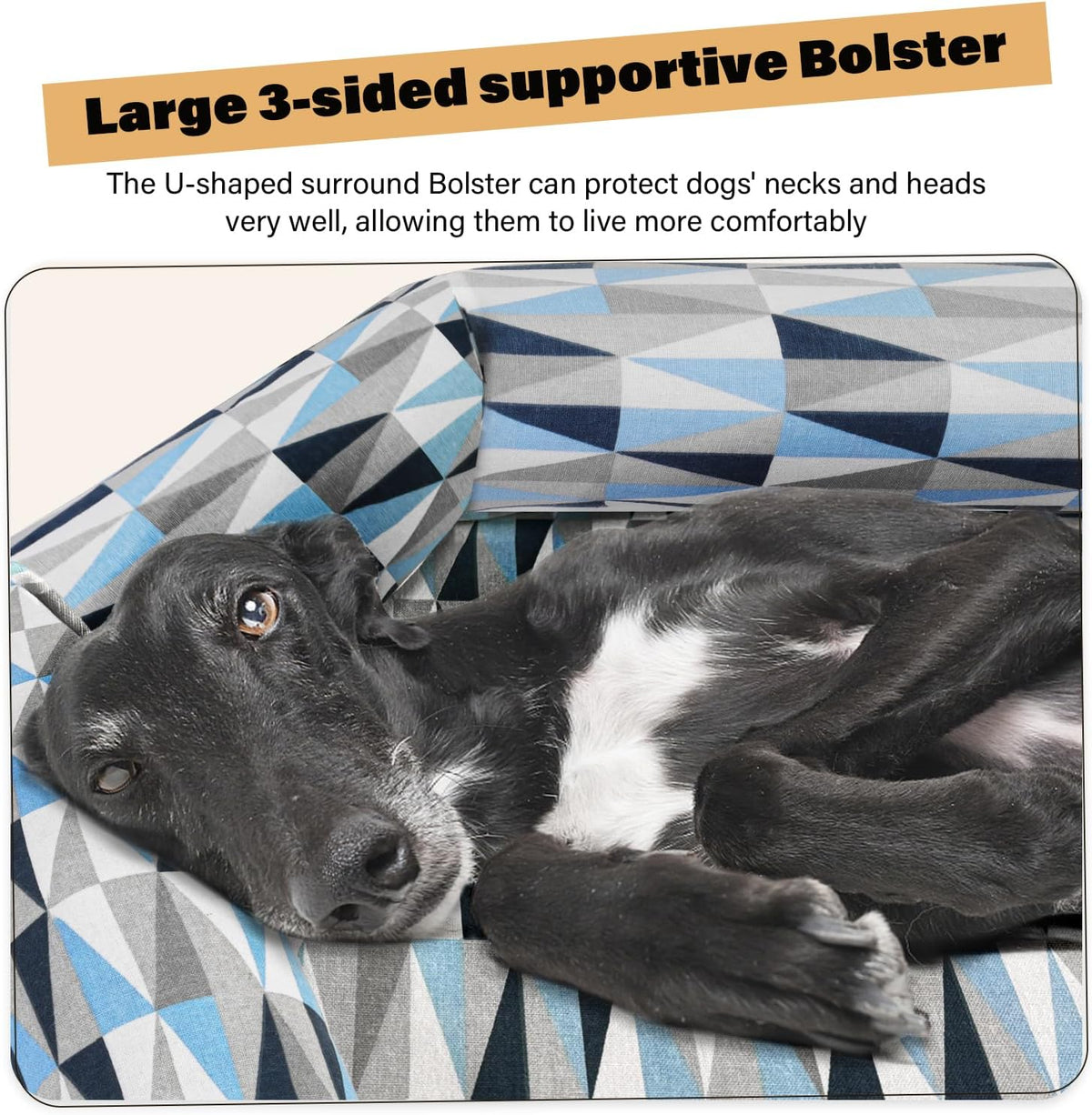 Elevated Dog Bed with Bolster - 6 side Bolster / X-Large - image 2