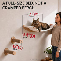 Large Cat Wall Hammock with 2 Climbing Steps – 21" Wall-Mounted Bed for Big Cats