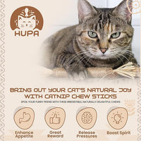 Catnip Silvervine Sticks for Cats | Silver Vine Chew Toy or Cat Chew Stick | Kitten Teething Toys | Cat Dental Chew with Cat Raffia Grass for Healthy Teeth & Digestion | Silvervine Cat Toy | 2 Sticks