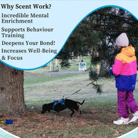 Dog Scent Training kit, Brain Games, Hide and Seek Toys - Blue - image 4