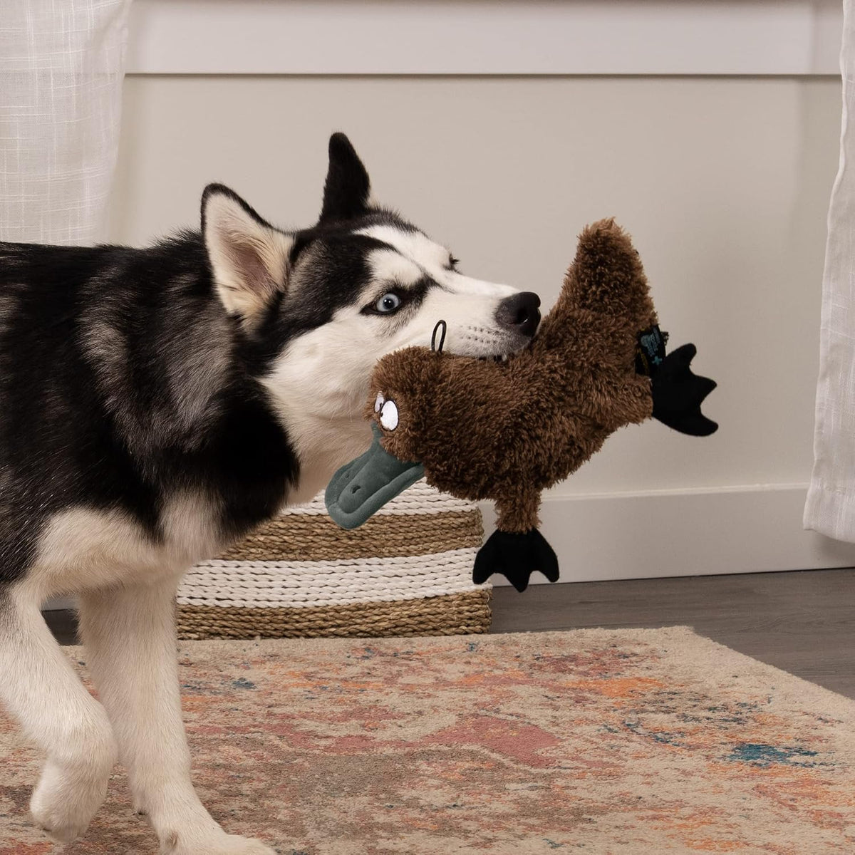 TrustyPup Strong 'N Silent Platypus Silent Squeak Plush Dog Toy - Large / Platypus - image 2