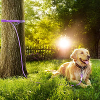 Tresbro 50FT Reflective Tie Out Cable for Dogs Up to 250 Pounds, Steel Wire Lead Leash Cable with Stainless Rotatable Buckle, Lightweight and Enduring, Dog Chains Outside for Outdoor, Yard, Purple