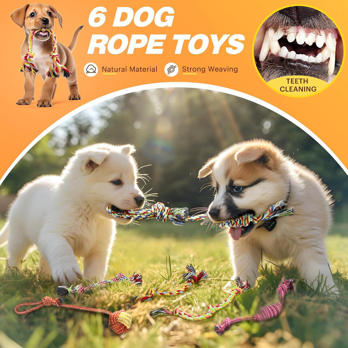 LOYEE Dog Squeaky Toys 8 Pack - 23 Pack Plush Squeaky Toys - image 3
