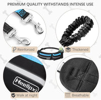 Hands-Free Waist Leash with Pouch for Two Dogs,Reflective Stitching, Dual Handle & Bungee Retractable Design – Ideal for Medium to Large Dogs (Blue) – Dog Walking Accessories