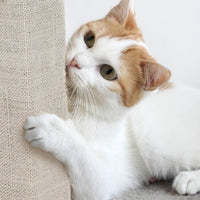 PETMAKER Cat Scratching Post - Beige - image 4