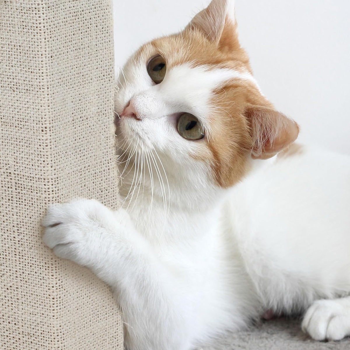PETMAKER Cat Scratching Post - Beige - image 4