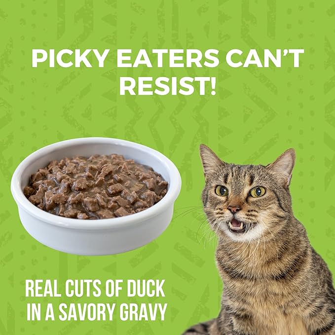 KOHA Minimal Ingredient Duck Stew for Cats, High Protein Limited Ingredient Wet Cat Food, 5.5oz Cans (Case of 24)
